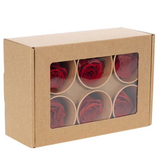 Product Preserved Roses Decorative Romantic Accentuate for Living Spaces or Weddings 5cm 6pcs