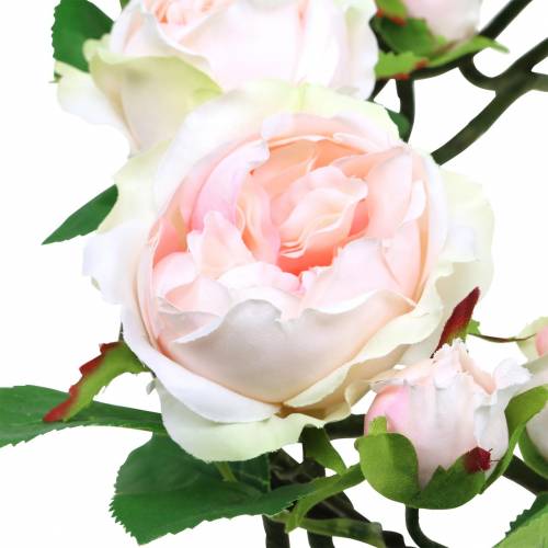 Floristik24 roses wreath rose Ø35cm