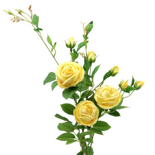 Floristik24 Rose branch yellow 100cm