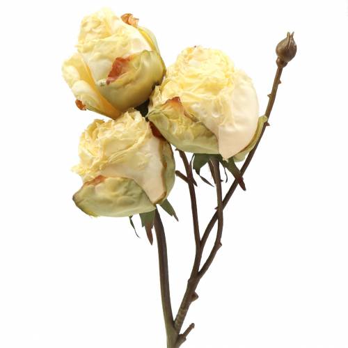 Floristik24 Artificial rose branch cream white 45cm