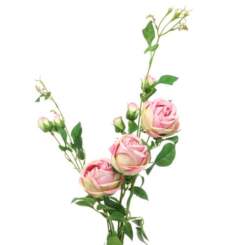 Floristik24 Rose branch pink 100cm