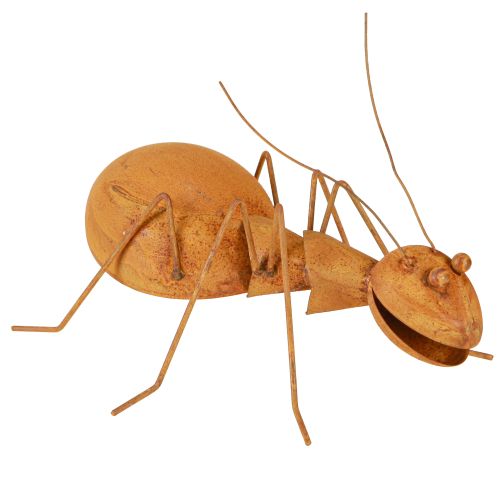 Floristik24 Rust Decoration Ant Metal Decoration Rust Figure Garden 21.5cm