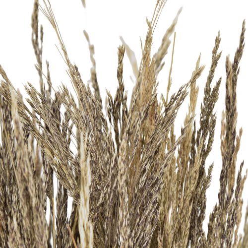 Product Bent Grass Agrostis Capillaris Dry Grass Nature 60cm 80g
