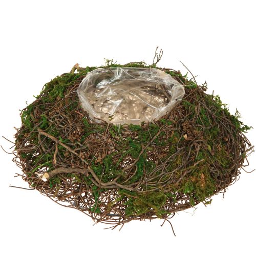 Round planter moss vines with foil Ø20cm H7cm