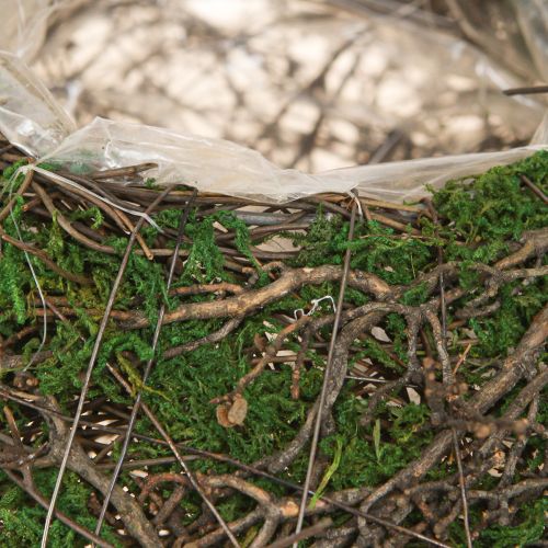 Product Round planter moss vines with foil Ø20cm H7cm