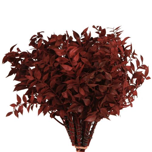 Product Ruscus Red on wire decorative branches dried 20cm 1 bunch