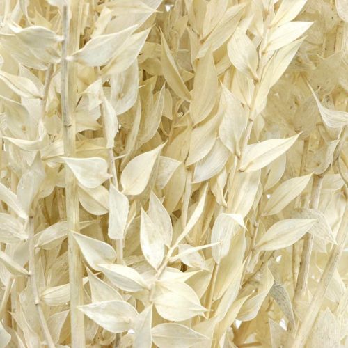 Product Ruscus twigs deco twigs dried flowers cream 200g