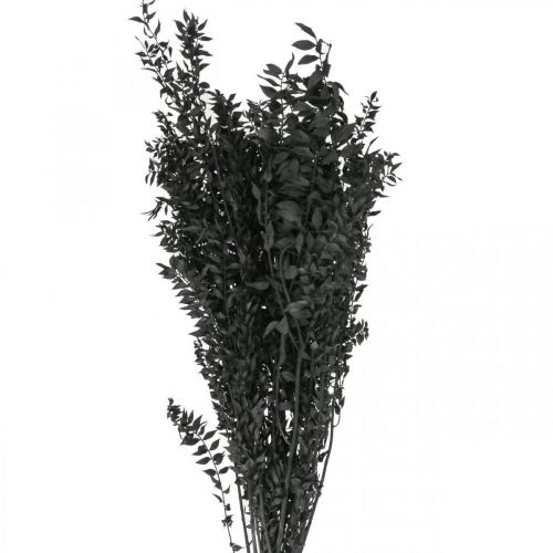 Floristik24 Ruscus branches decorative branches dried flowers black 200g