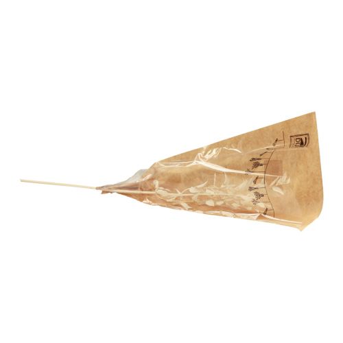 Product Ruscus dried decorative branch Ruscus bleached 62cm 1 pc