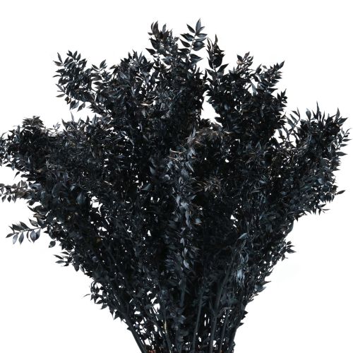 Floristik24 Ruscus dried decorative branches Ruscus Black 1kg