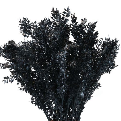 Ruscus dried decorative branches Ruscus Black 1kg