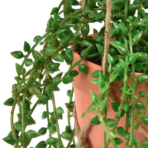 Floristik24 Artificial succulents hanging artificial plant in pot 34cm