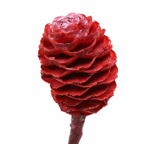 Product Decorative branches Sabulosum red frosted 4-6 25 pcs