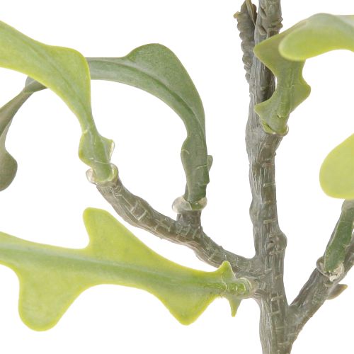 Product Saw Leaf Cactus Artificial Epiphyllum anguliger L68cm 3 pcs