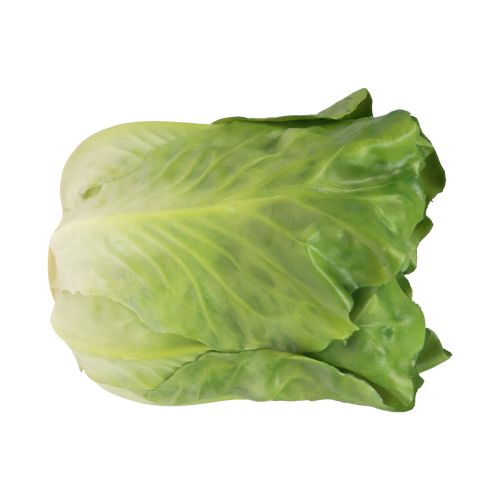 Floristik24 Lettuce head green decorative salad food dummies 14cm