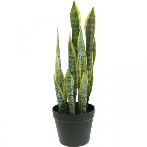 Floristik24 Sansevieria, artificial flower, bow hemp in a pot H50cm Ø14cm