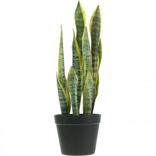 Floristik24 Sansevieria, artificial flower, bow hemp in a pot H50cm Ø14cm