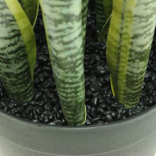 Product Sansevieria, artificial flower, bow hemp in a pot H50cm Ø14cm