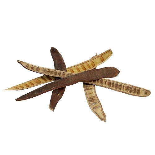 Product Scaletta pod natural 25cm - 50cm 25 pcs
