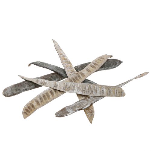 Product Scaletta pod white washed 25 pcs