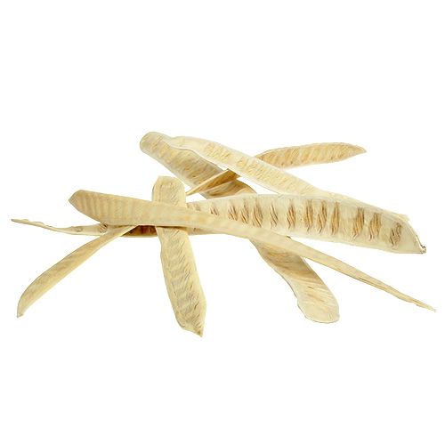 Product Scaletta pod bleached 25 pcs
