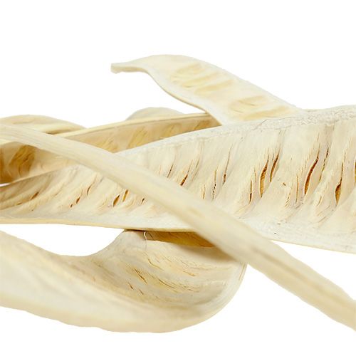 Product Scaletta pod bleached 25 pcs