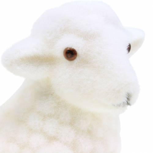 Floristik24 Easter lamb lying flocked white H15cm