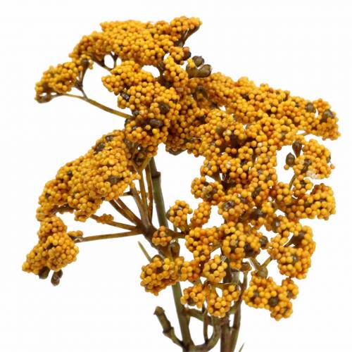 Product Yarrow artificial yellow 74cm 3pcs