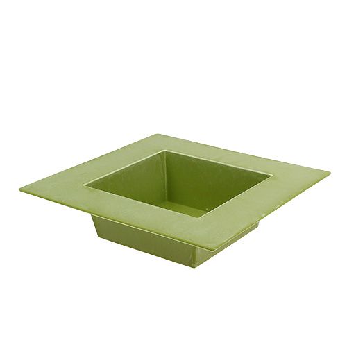 Floristik24 Square bowl light green 20cm x 20cm, 1pc