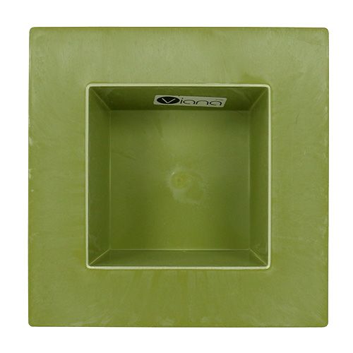Floristik24 Square bowl light green 20cm x 20cm, 1pc