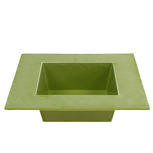 Floristik24 Square bowl light green 20cm x 20cm, 1pc