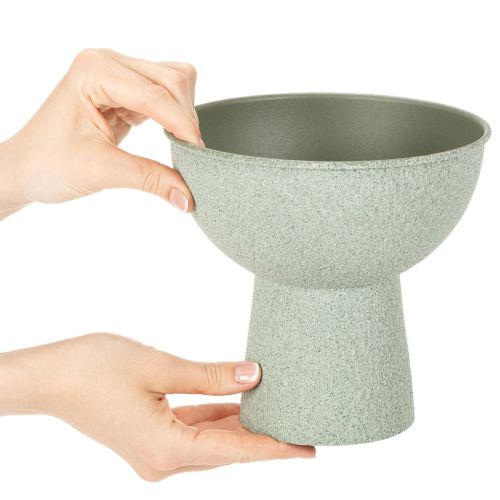 Potted Bowl on High Foot Round 18cm Light Green | Floristik24.co.uk