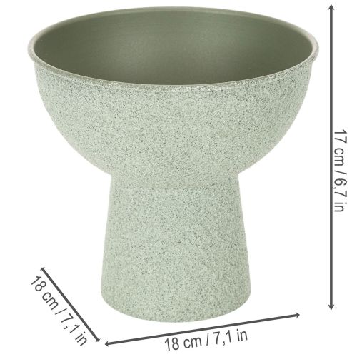 Potted Bowl on High Foot Round 18cm Light Green | Floristik24.co.uk