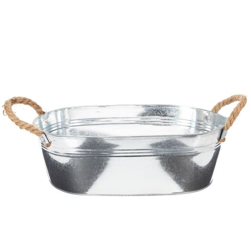 Oval bowl 35cm x 21.5cm H11.5cm, glossy zinc buy online | Floristik24.co.uk