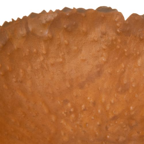 Round Metal Bowl with Rust Effect and Textured Surface, 20 cm | Floristik24.co.uk