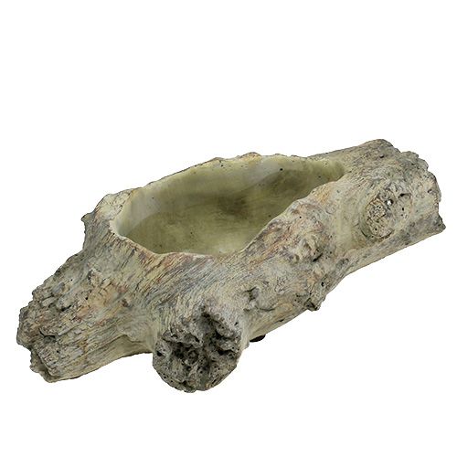 Floristik24 Bowl for planting 30cm x 13cm H8.5cm