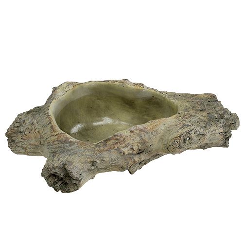 Floristik24 Bowl for planting 30cm x 13cm H8.5cm