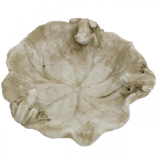 Product Bird bath with frogs, concrete garden figure, bird bath lotus leaf W21cm H7cm