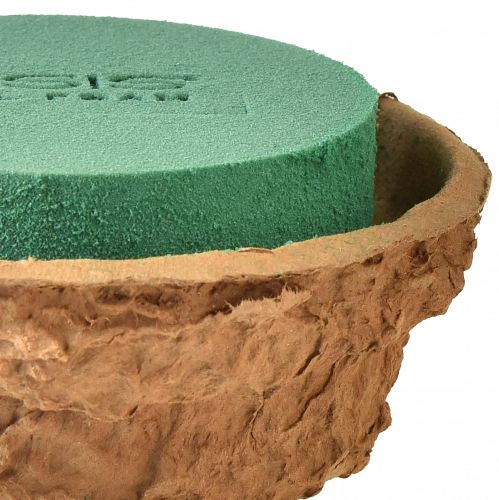 Product Bowl flower arrangement wet floral foam H6cm Ø14cm 4 pcs