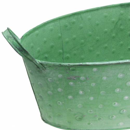 Product Zinc bowl with handles Oval Dotted Green, White washed 39.5x18cm H14cm