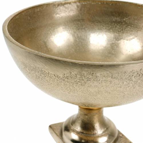 Floristik24 Bowl with foot light gold Ø16cm antique look