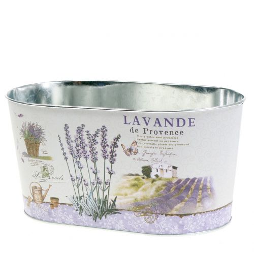 Floristik24 Planter Lavender oval 22,5cm x 13,5cm H11cm
