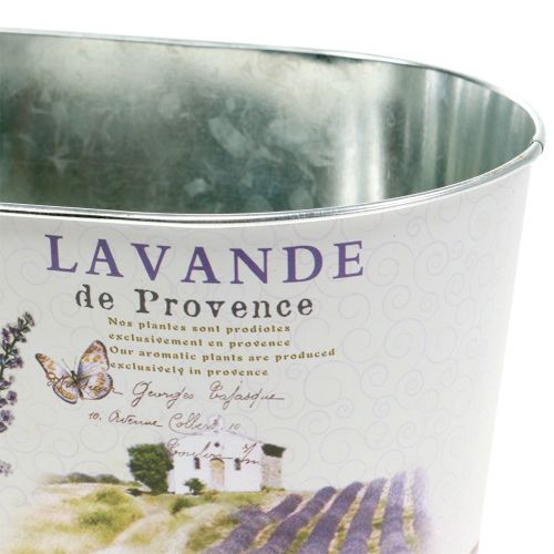 Floristik24 Planter Lavender oval 22,5cm x 13,5cm H11cm