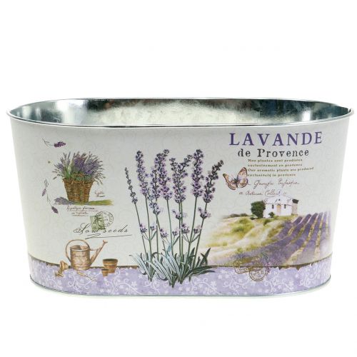 Floristik24 Planter Lavender oval 22,5cm x 13,5cm H11cm