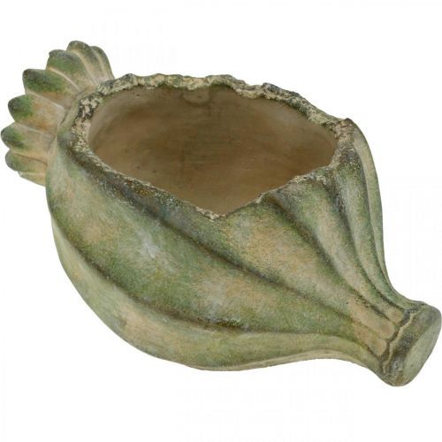 Floristik24 Decorative poppy capsule, concrete planter, cachepot, grave decoration L26cm