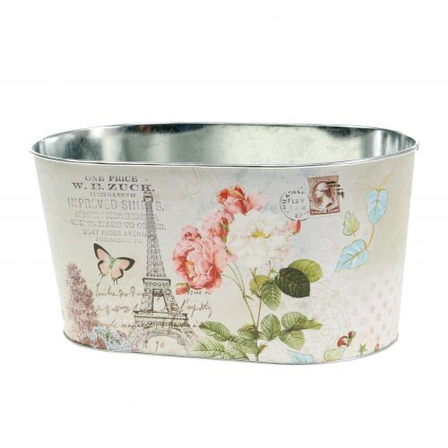 Floristik24 Planter bowl roses oval 22.5cm x 13.5cm H11cm