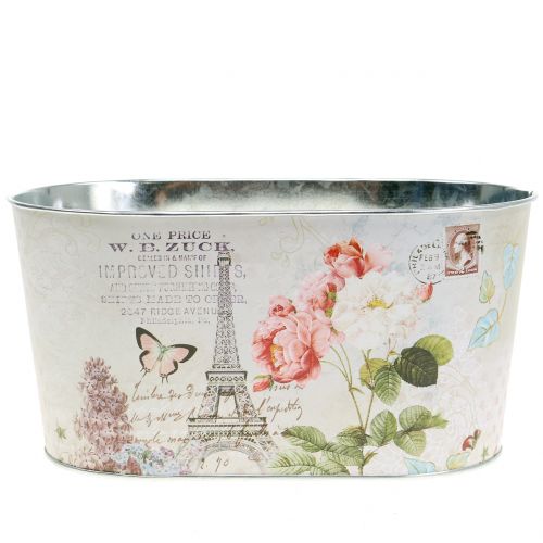Floristik24 Planter bowl roses oval 22.5cm x 13.5cm H11cm