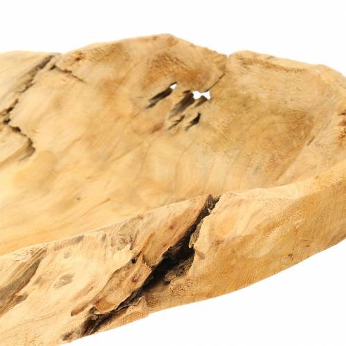 Floristik24 Bowl of burl wood 50cm x 17cm H8cm