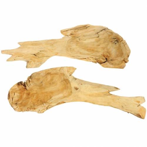 Floristik24 Bowl of burl wood 50cm x 17cm H8cm