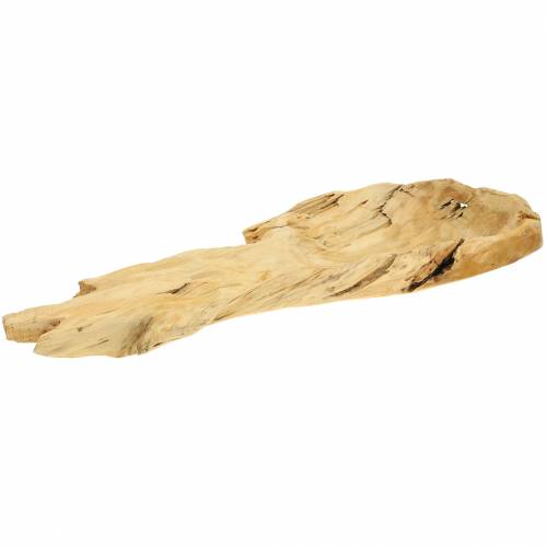 Floristik24 Bowl of burl wood 50cm x 17cm H8cm